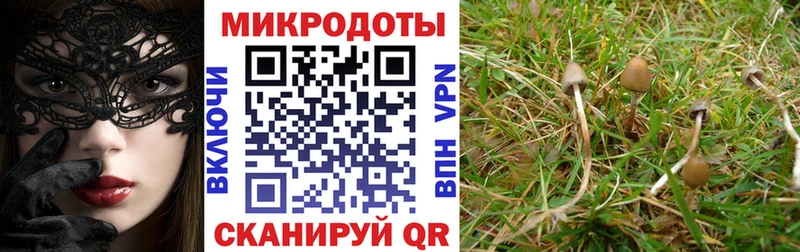 Галлюциногенные грибы Cubensis  Калязин 